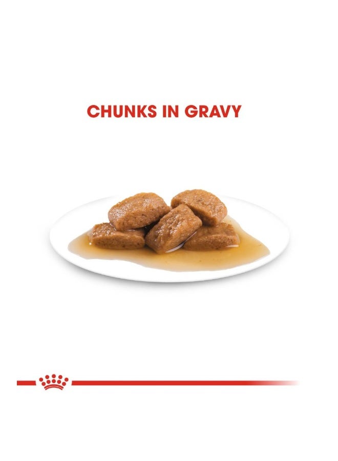 رويال كانين حجم التغذية الصحية ماكسي للبالغين (طعام رطب - أكياس) 10 × 140 غرام - Image 3